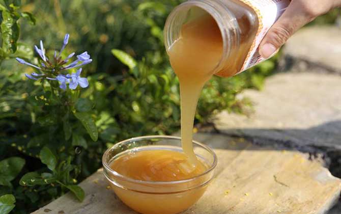 油菜蜜好还是荆条蜜好（油菜花蜜好还是荆条蜜好）