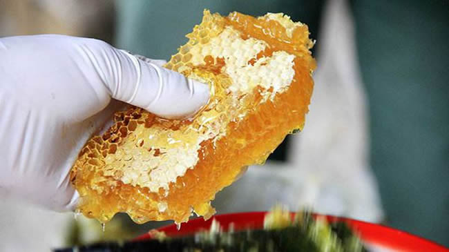 土蜂蜜和普通蜂蜜的区别