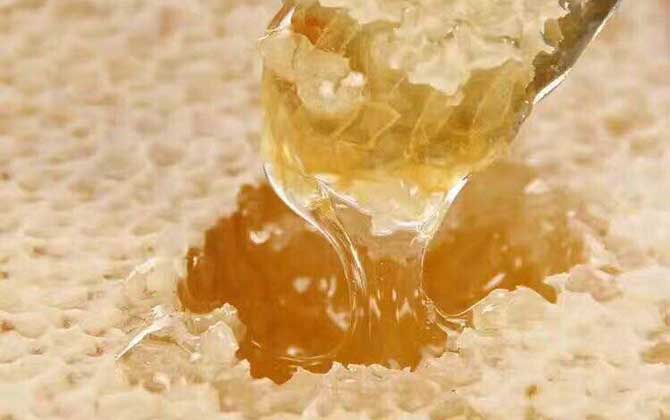 空腹可以吃蜂巢蜜吗（蜂巢蜜的正确食用方法）