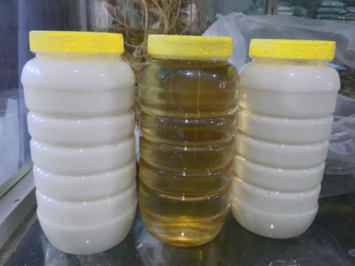 椴树蜂蜜的功效与作用（椴树蜜以及椴树蜂蜜的作用与功效介绍）