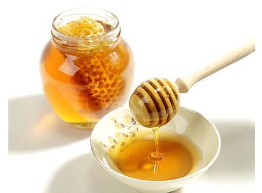 中国大虎头蜂雄蜂和雌蜂的区别（中国大虎头蜂怎么分公母）