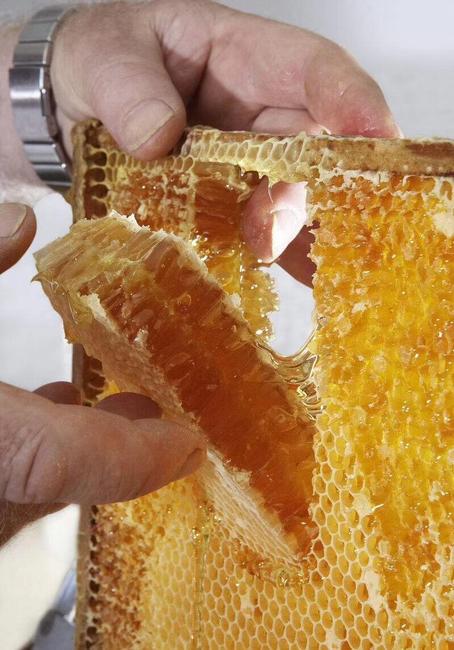 荔枝蜜美容真的有用吗(荔枝蜜美容的方法) 荔枝蜜美容真的有用吗(荔枝蜜美容的方法)