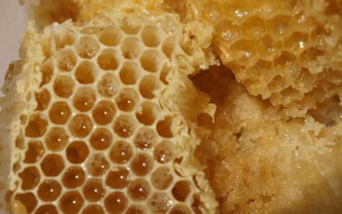 天然蜂巢蜜功效与作用（蜂巢蜜的作用与功效及食用方法）