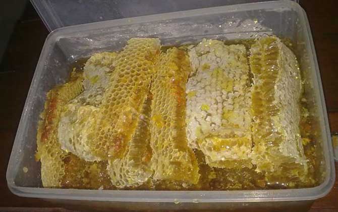 天然蜂巢蜜功效与作用（蜂巢蜜的作用与功效及食用方法）