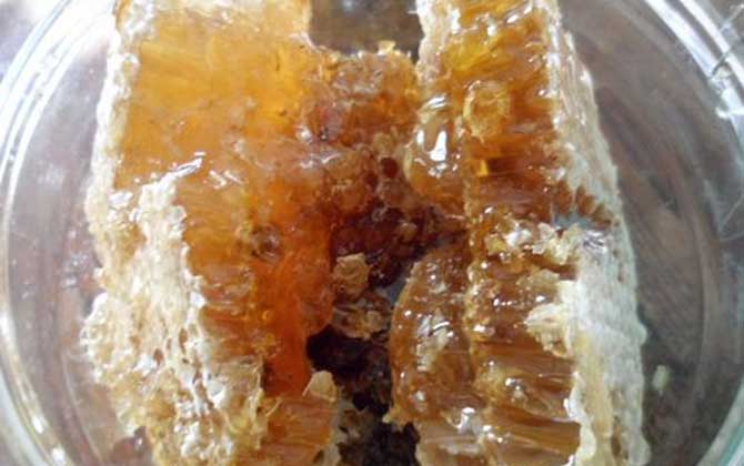 天然蜂巢蜜功效与作用（蜂巢蜜的作用与功效及食用方法）