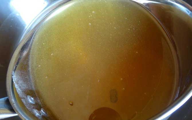 乌桕蜜和荆条蜜哪个好（乌桕蜜和荆条蜜的区别）