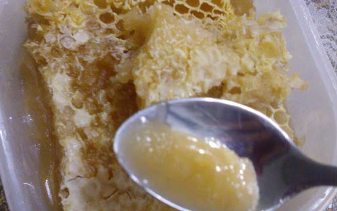 蜂巢蜜为什么嚼不烂（蜂巢蜜能直接食用吗）