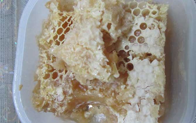 蜂巢蜜为什么嚼不烂（蜂巢蜜能直接食用吗）