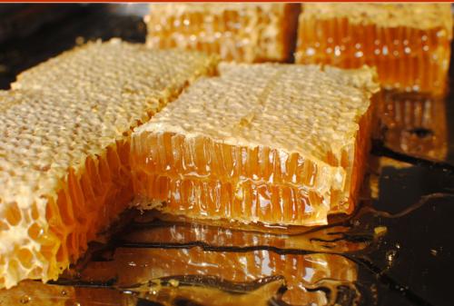 蜂巢蜜冷冻还是冷藏（蜂巢蜜怎么保存和食用）