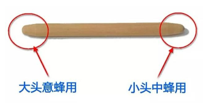 中蜂人工育王数字能接受吗（中蜂养殖，人工育王难不难）