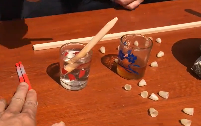 中蜂人工育王数字能接受吗（中蜂养殖，人工育王难不难）