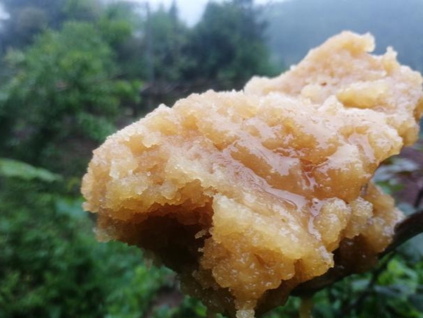 蜜蜂什么时候取蜜最好？取蜜的3种常用方法，每种方法的利与弊