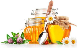 柑橘蜜的蔗糖指标高吗（蜂蜜中蔗糖最高不超10%）