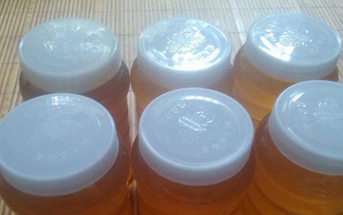 荆条蜜能和柠檬一起吃吗（荆条蜜和柠檬可同时喝吗)