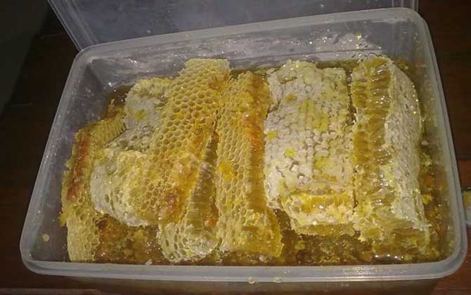 长期吃蜂巢蜜的危害有哪些（长期吃蜂巢蜜会怎么样）