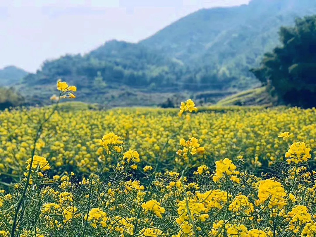 中秋出行！新晋黑马目的地TOP10，小众海岛、赏秋秘境、文化慢城
