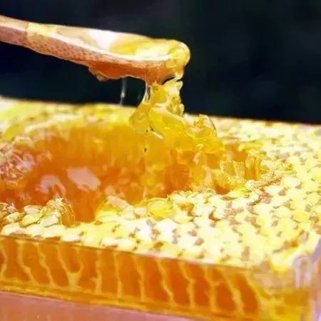 野生蜂蜜蜡的功效与作用（天然蜂蜡的吃法）