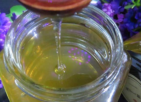 荆条蜜的功效与作用及禁忌（荆条蜜的营养价值）