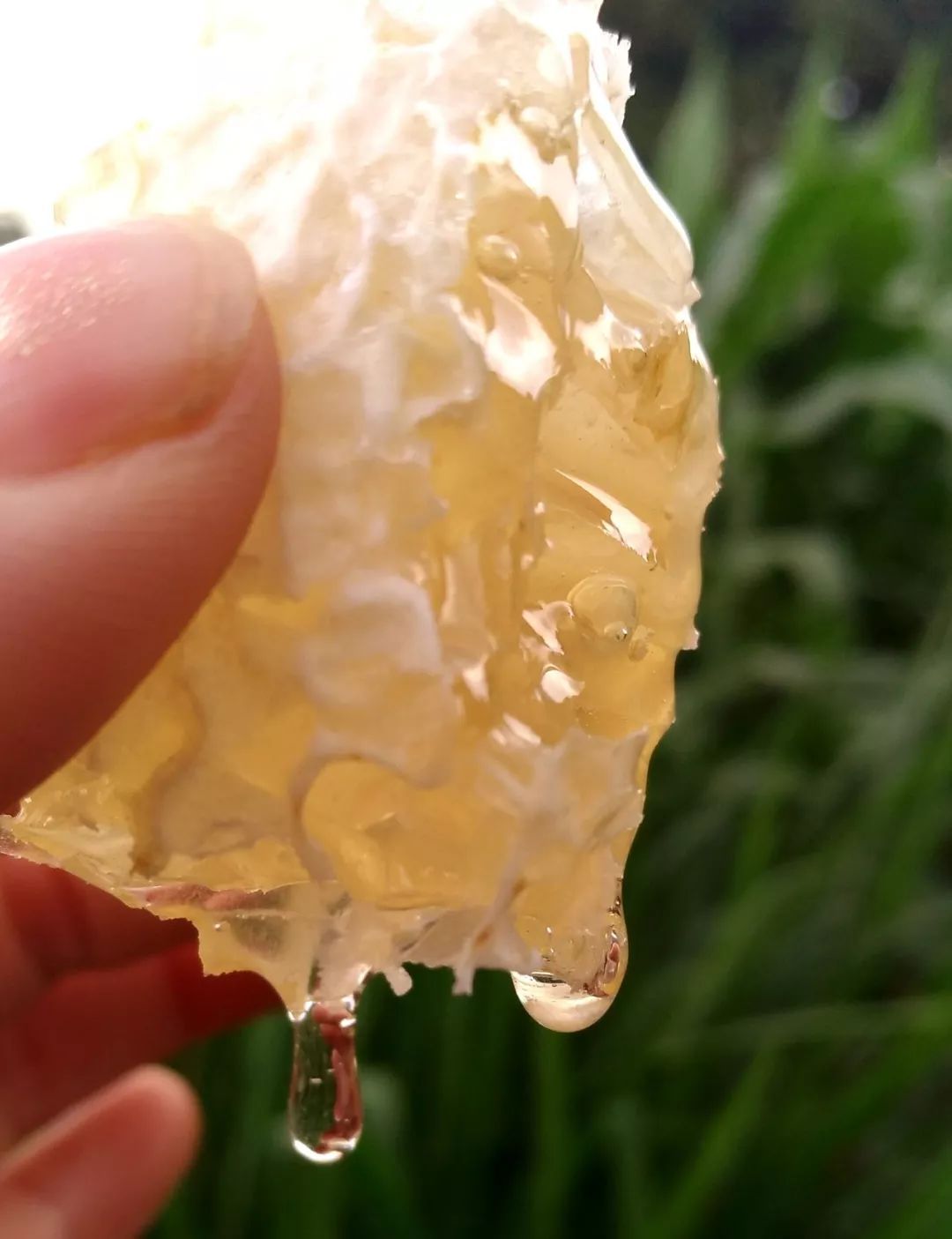 百花蜜和荔枝蜜哪个对便秘好（蜂蜜通便的食用方法）