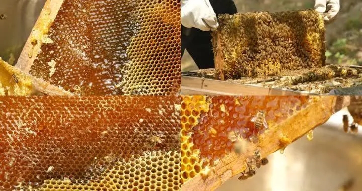 蜂蜜和蜂蜡混在一起怎么处理