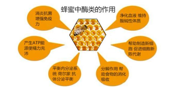 枣花蜜好还是水白蜜好（水白蜜和枣花蜜的对比）