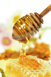 麦卢卡和康维他蜂蜜有什么区别（康维他麦卢卡蜂蜜和普通蜂蜜的区别）
