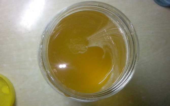 柑橘蜜产蜜多少（柑橘蜜的产量有多高）