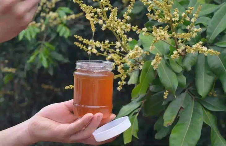 荔枝蜜有点酸是怎么回事（蜂蜜发酸的原因）