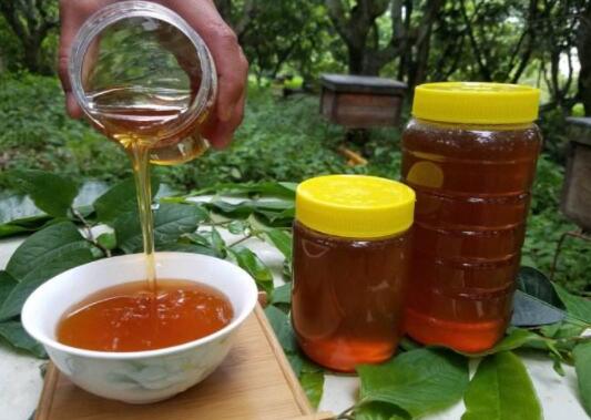 土蜂蜜和龙眼蜜有什么区别（龙眼蜜是土蜂蜜吗）