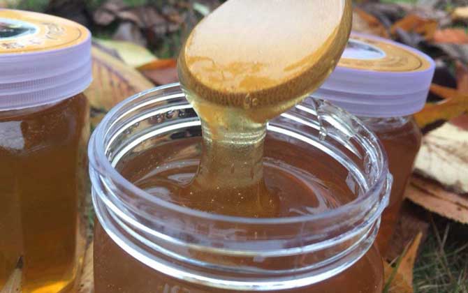荆条花蜜槐花蜜哪个好（荆条花蜜和槐花蜜的区别）