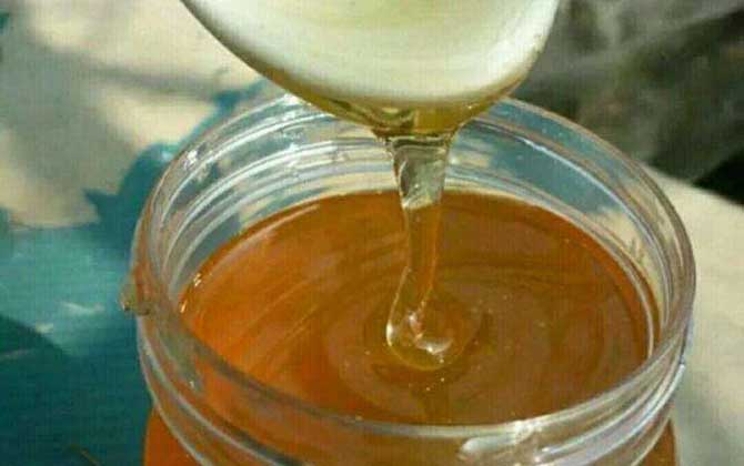 荆条花蜜槐花蜜哪个好（荆条花蜜和槐花蜜的区别）