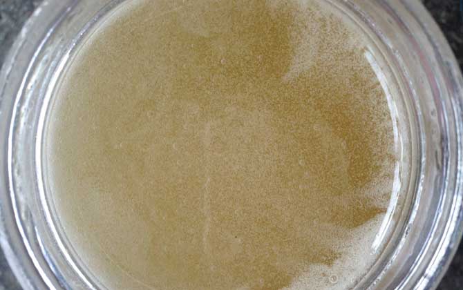 洋槐花蜜性寒还是性温(洋槐花蜜是寒性的还温性) 洋槐花蜜性寒还是性温(洋槐花蜜是寒性的还温性)