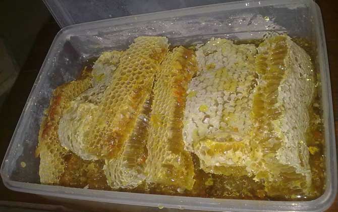 蜂巢蜜应该是什么颜色的（真的蜂巢蜜是什么样子）