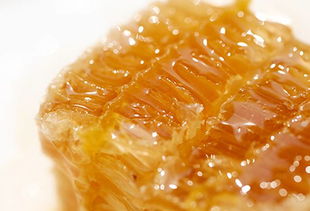 蜂巢蜜和四季豆可以一起吃吗（吃了四季豆可以喝蜂蜜水么）