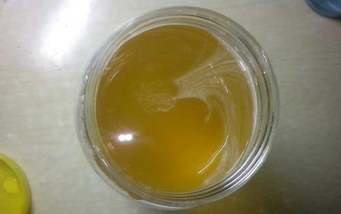 柑橘蜜多少钱一斤（柑橘蜜的功效与作用）