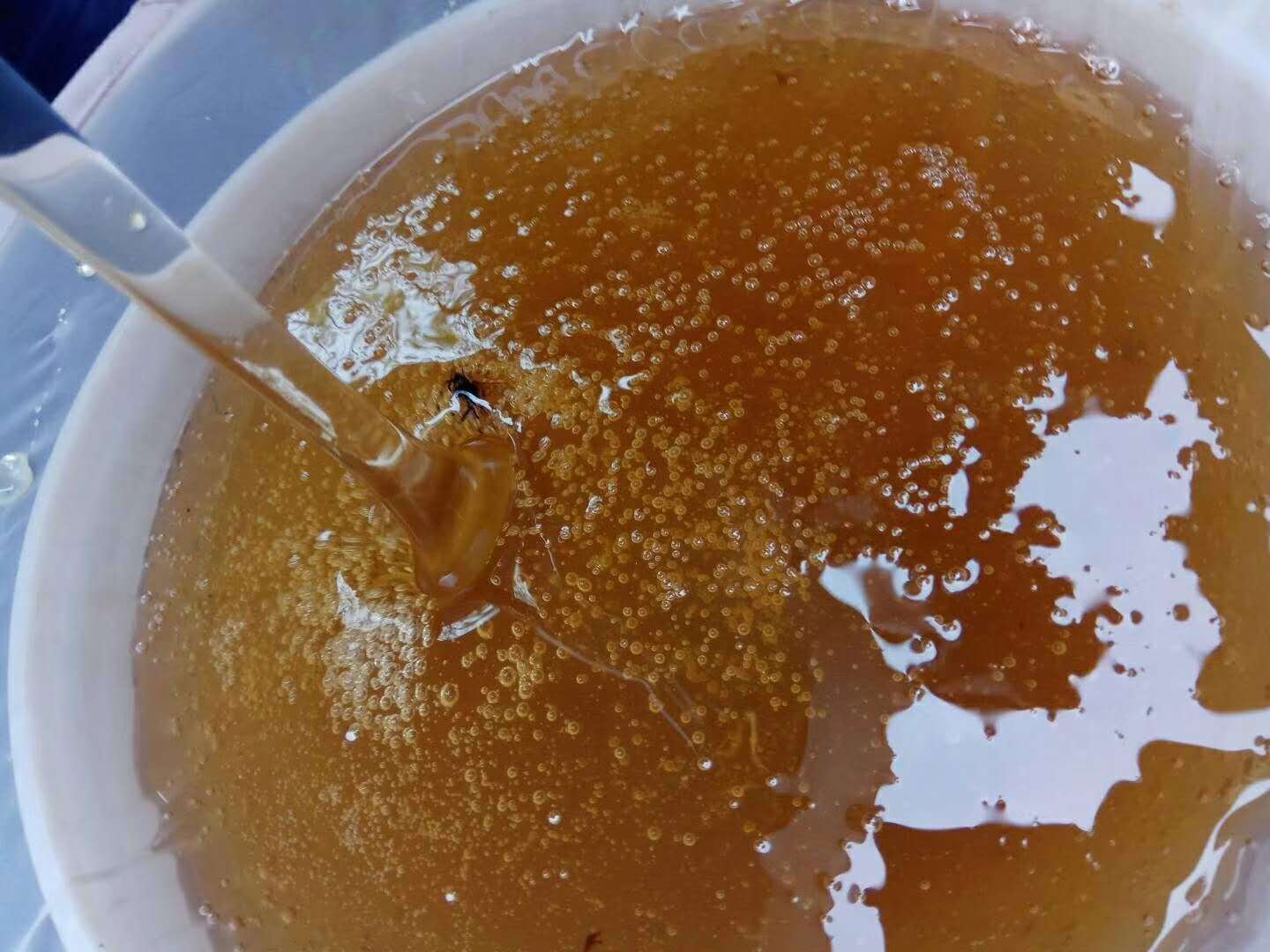 柑橘蜜的特点（柑橘蜜怎么喝）