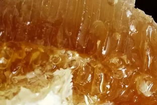 吃蜂巢蜜的注意事项（吃蜂巢蜜要注意什么）