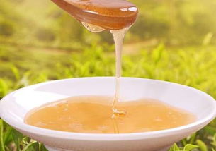 油菜花多少度流蜜最好（油菜花流蜜最佳温度）