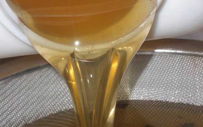 荔枝蜜容易结晶吗（荔枝蜜结晶是什么原因？)