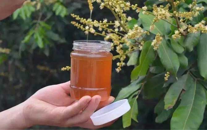 荔枝蜜容易结晶吗（荔枝蜜结晶是什么原因？)