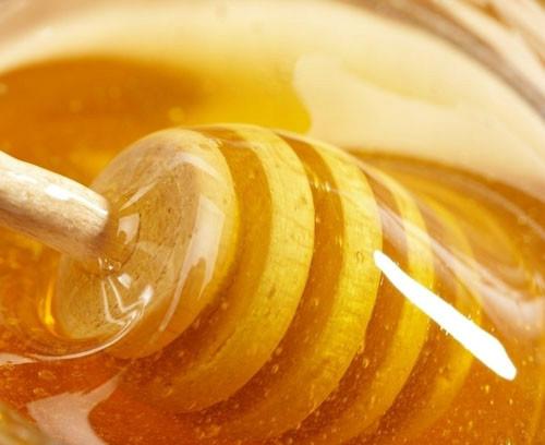 蜂王浆是蜜蜂的口水么（蜜蜂王浆是怎么形成的）