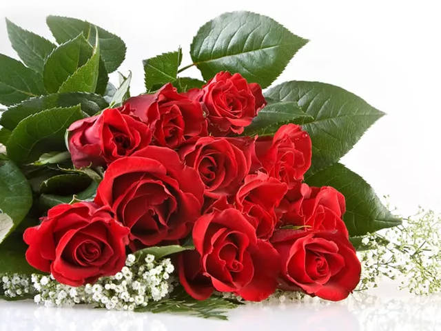 11朵玫瑰代表什么意思（11朵玫瑰代表的花语和寓意）