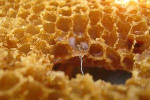 蜂巢怎么吃效果最好？
