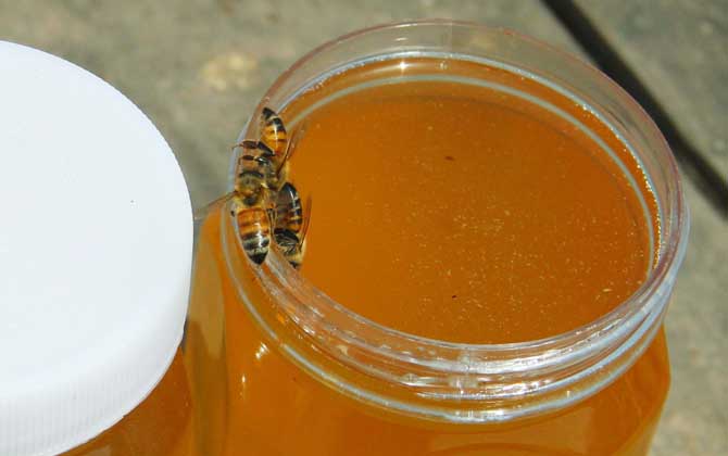 柑橘蜜可以多喝吗？