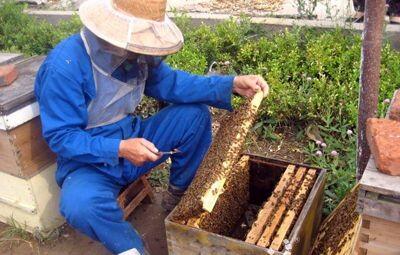 孙红亮：养蜂酿出脱贫致富新生活