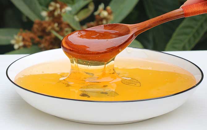 枇杷蜂蜜和枣花蜜哪个好（枇杷蜜和枣花蜜哪个好）
