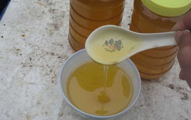 什么人适合柑橘蜜（柑橘蜜的功效）