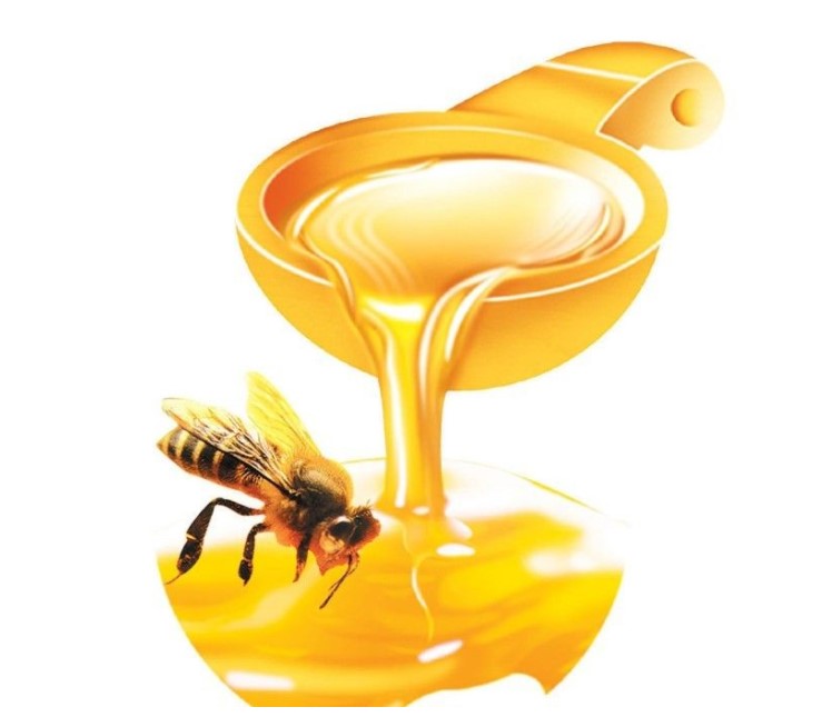 中蜂王产雄蜂卵多是什么原因（中蜂新产王为什么会产很多雄蜂呢）