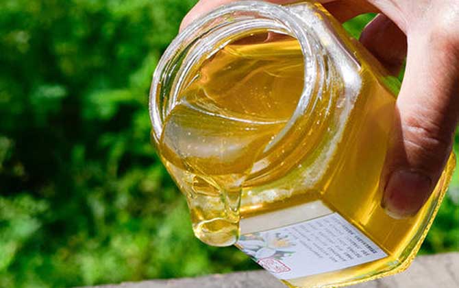 喝了柑橘蜜后可以喝蜂蜜水吗（柑橘蜜的禁忌及正确喝法）