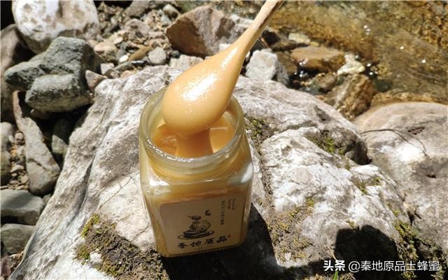 封盖的蜂蜜和不封盖的区别（蜜蜂封盖是什么意思）